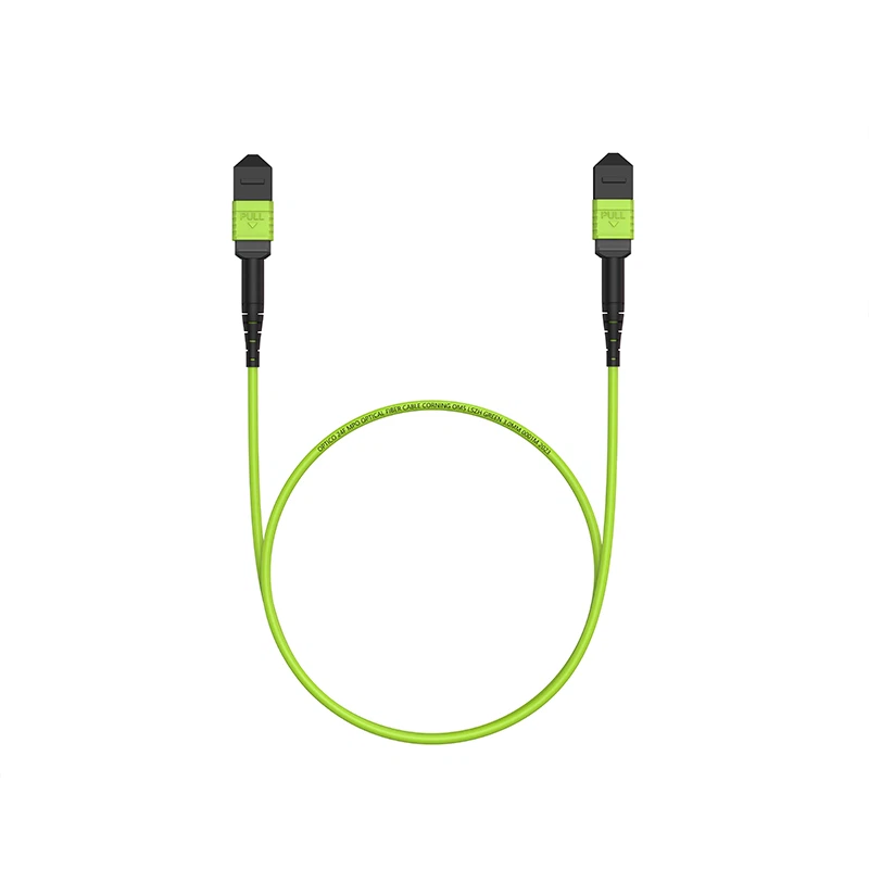 24F MTP trunk Cable 24F MTP trunk Cable