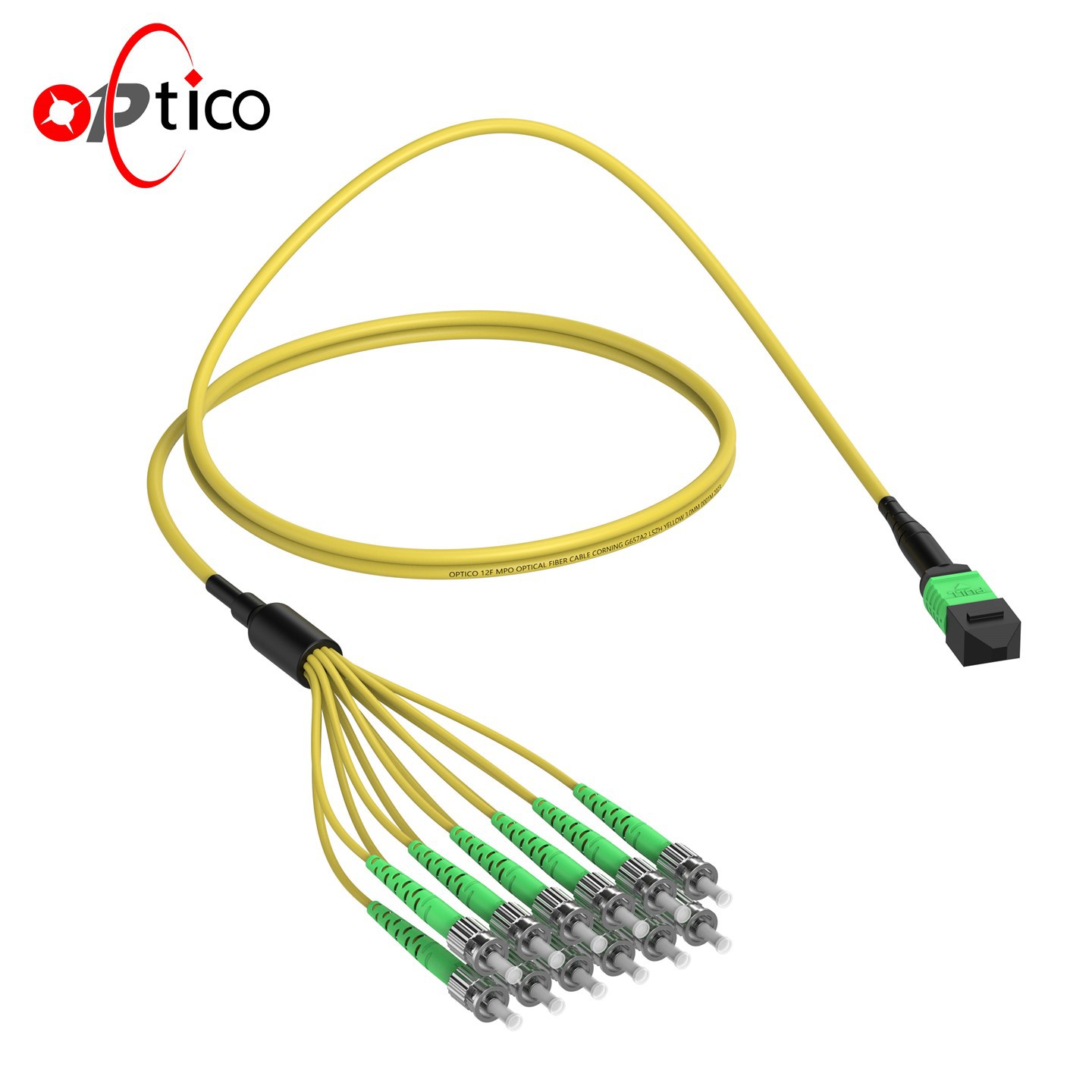 Cavo di breakout MPO-St a 12 fibre